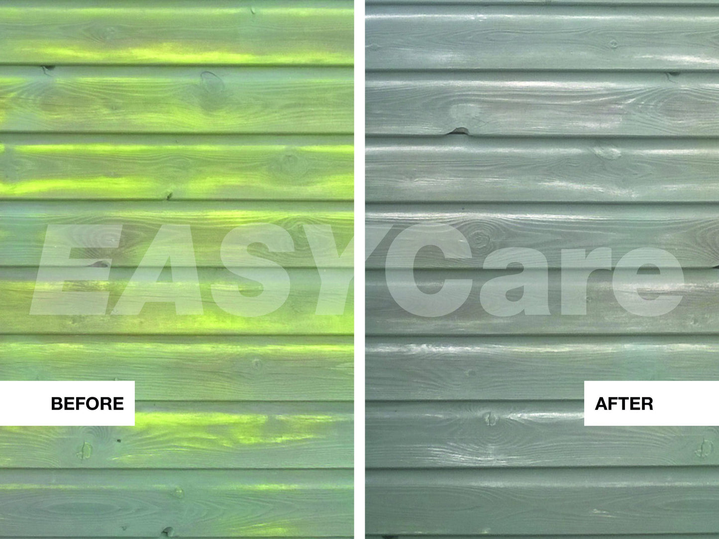 EASYCare Algae Remover