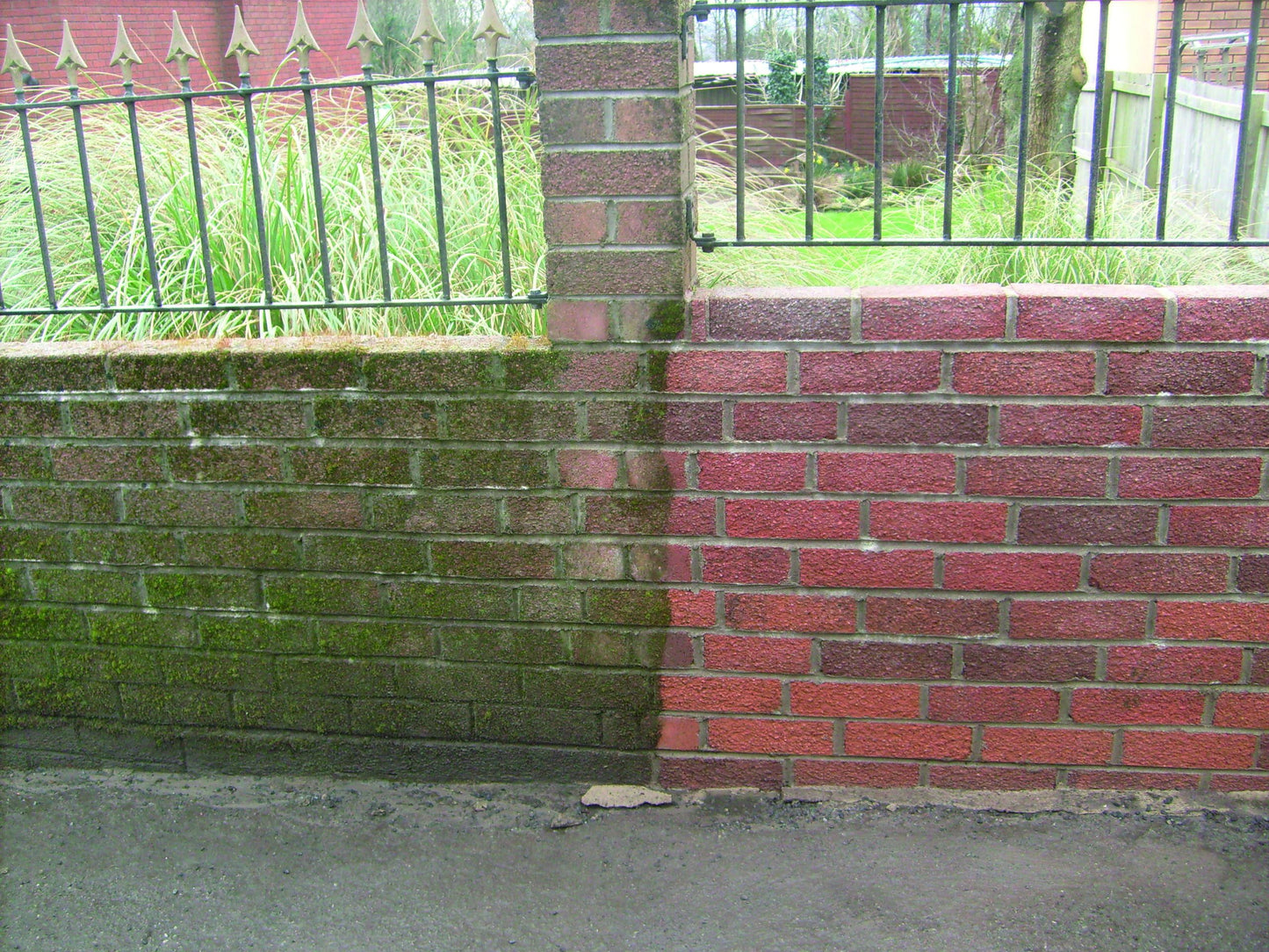 EASYCare Algae Remover