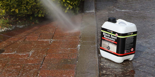 Removing Algae and Lichen from Patios and Driveways